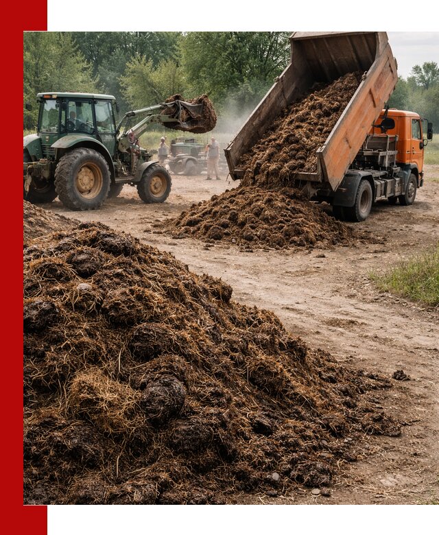 Доставка навоза самосвалами в Мариинске для сельхозпотребностей